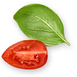 tomat leaf